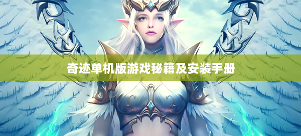 奇迹单机版游戏秘籍及安装手册  第1张